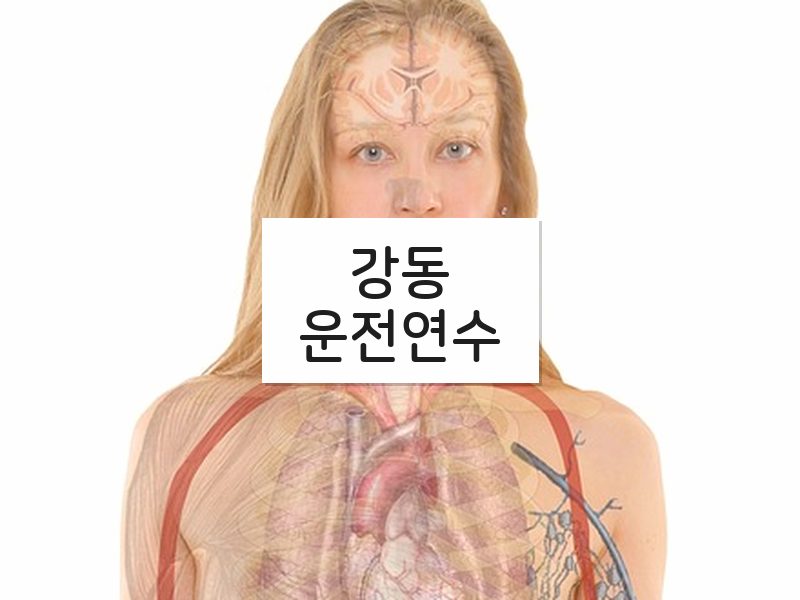 강동운전연수 후기