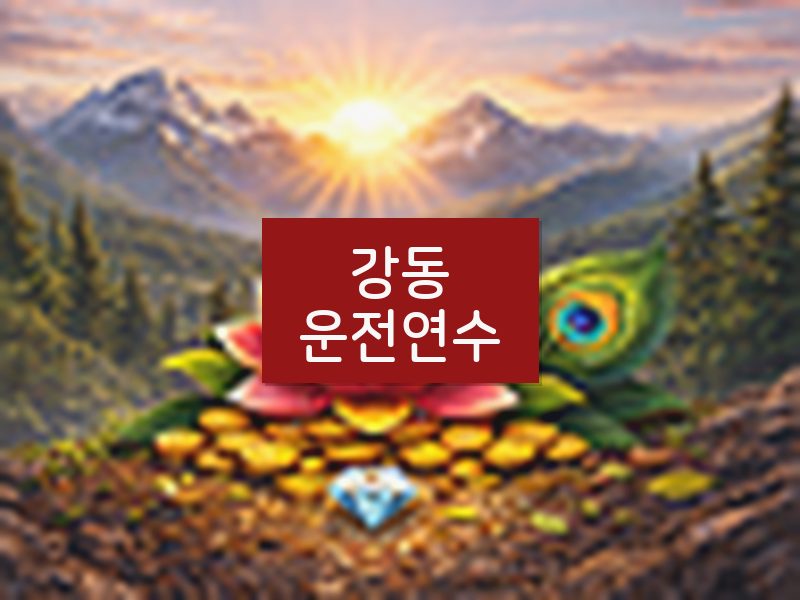 강동운전연수 후기
