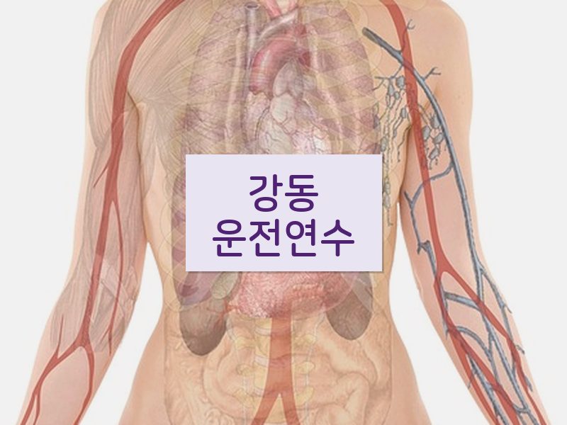 강동운전연수 후기