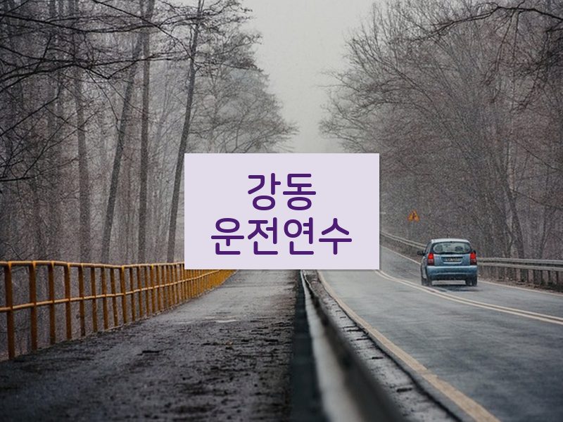 강동운전연수 후기