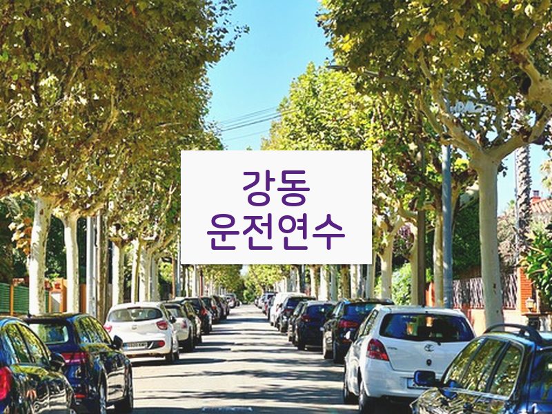 강동운전연수 후기