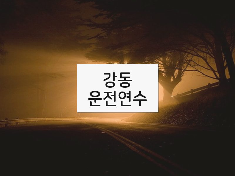 강동운전연수 후기