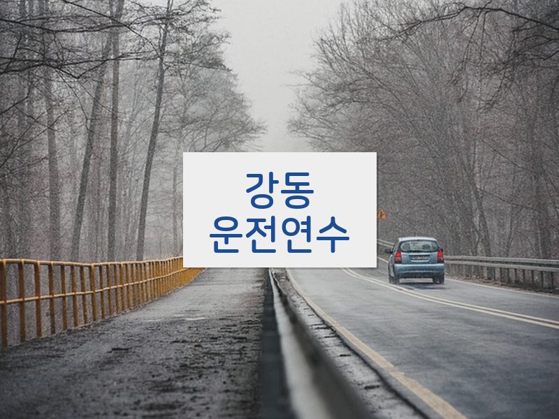 강동운전연수 후기