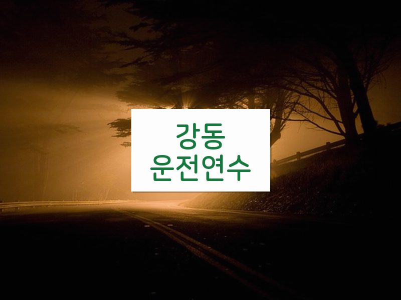 강동운전연수 후기