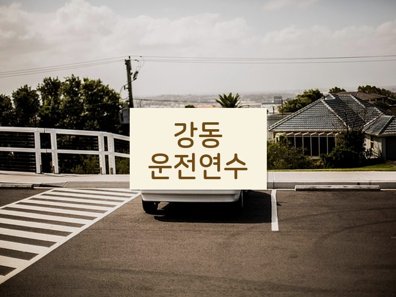 강동운전연수 후기
