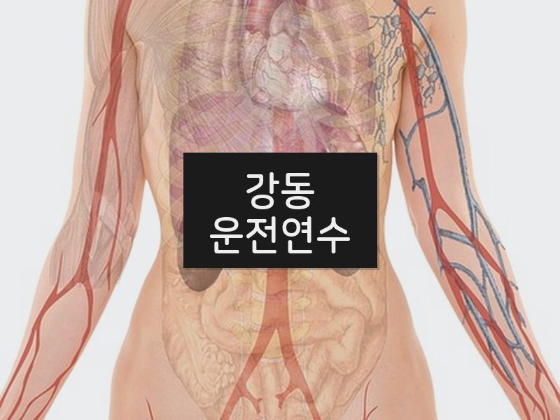 강동운전연수 후기