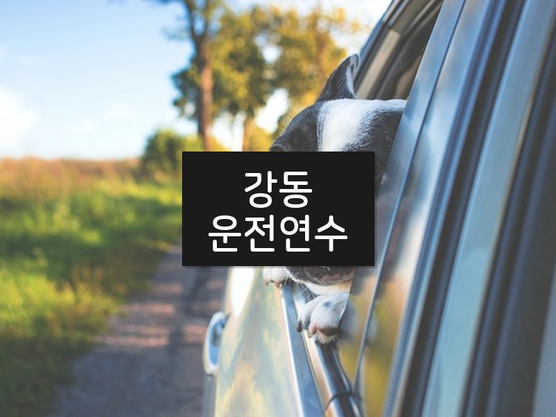 강동운전연수 후기