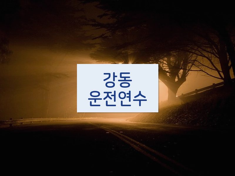 강동운전연수 후기