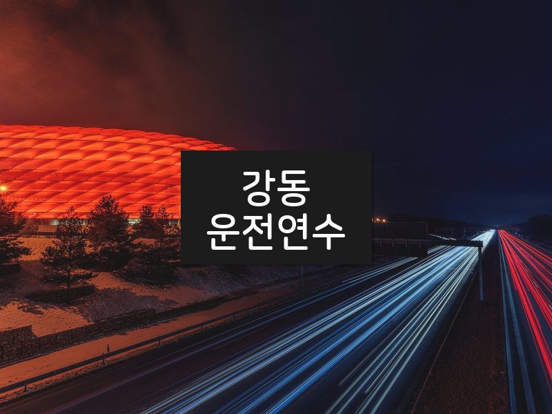강동운전연수 후기