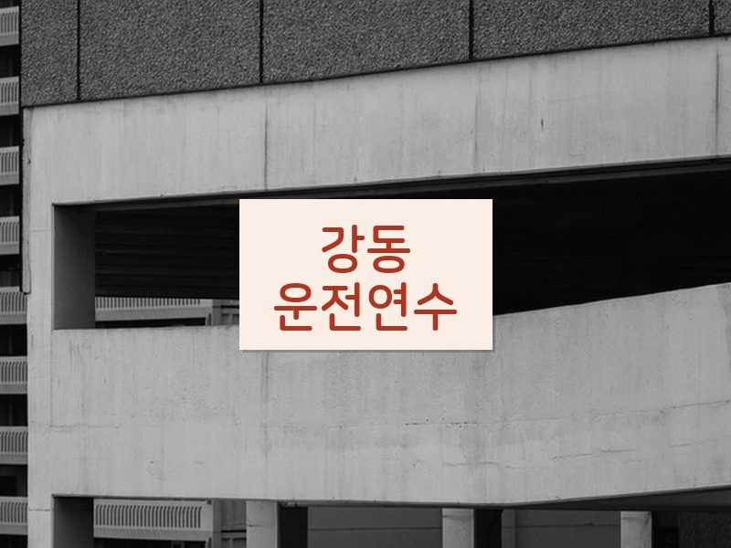 강동운전연수 후기
