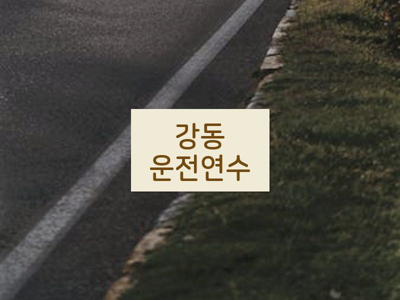 강동운전연수 후기
