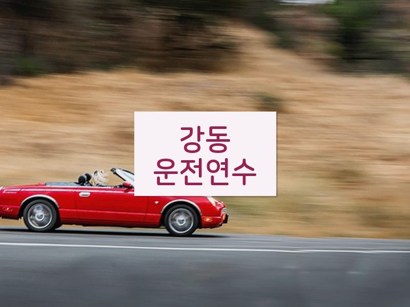 강동운전연수 후기