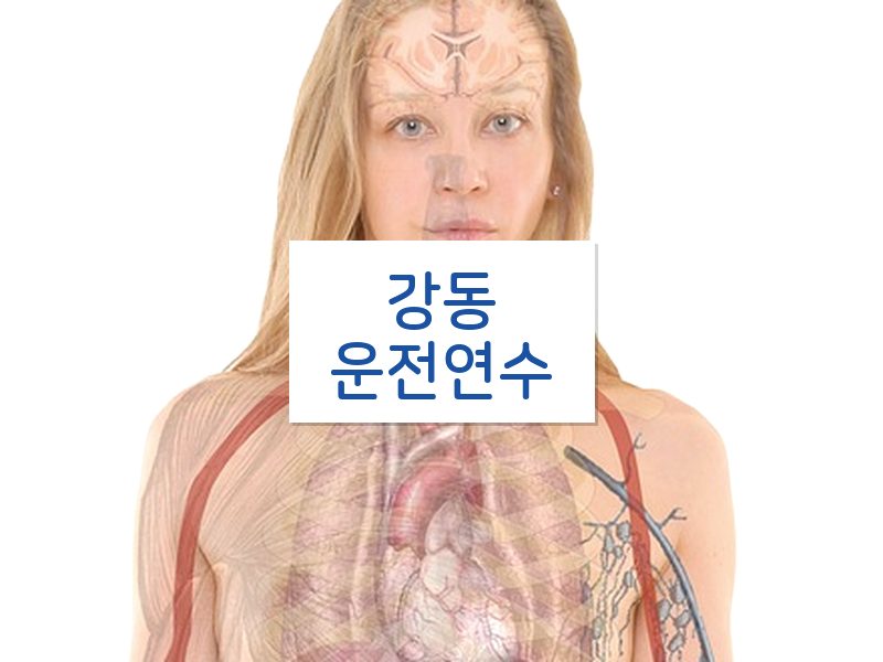 강동운전연수 후기