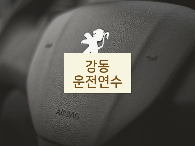 강동운전연수 후기
