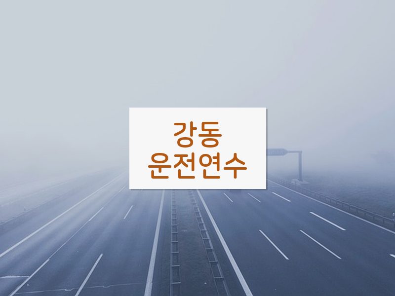 강동운전연수 후기