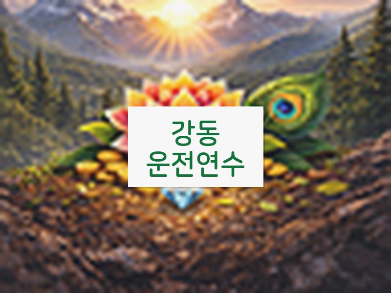 강동운전연수 후기