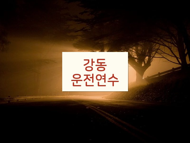 강동운전연수 후기