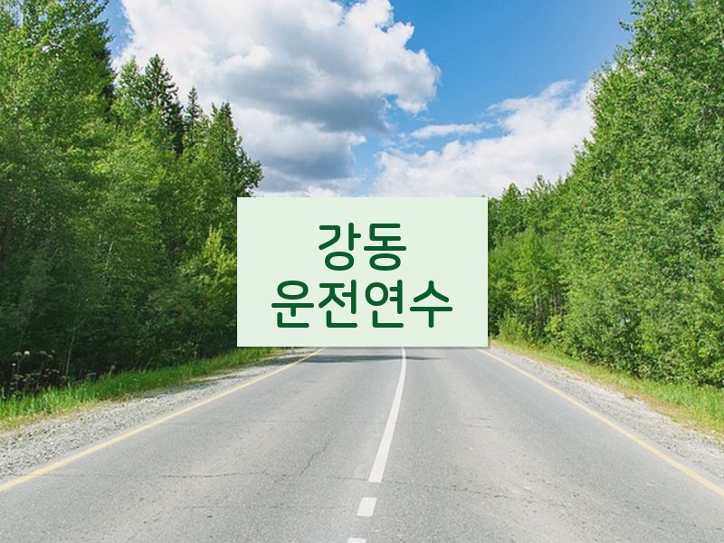 강동운전연수 후기
