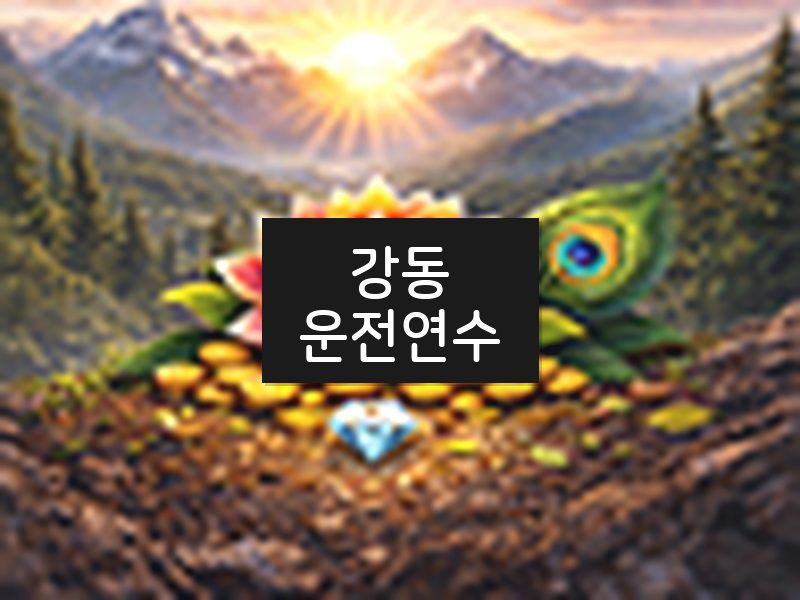 강동운전연수 후기