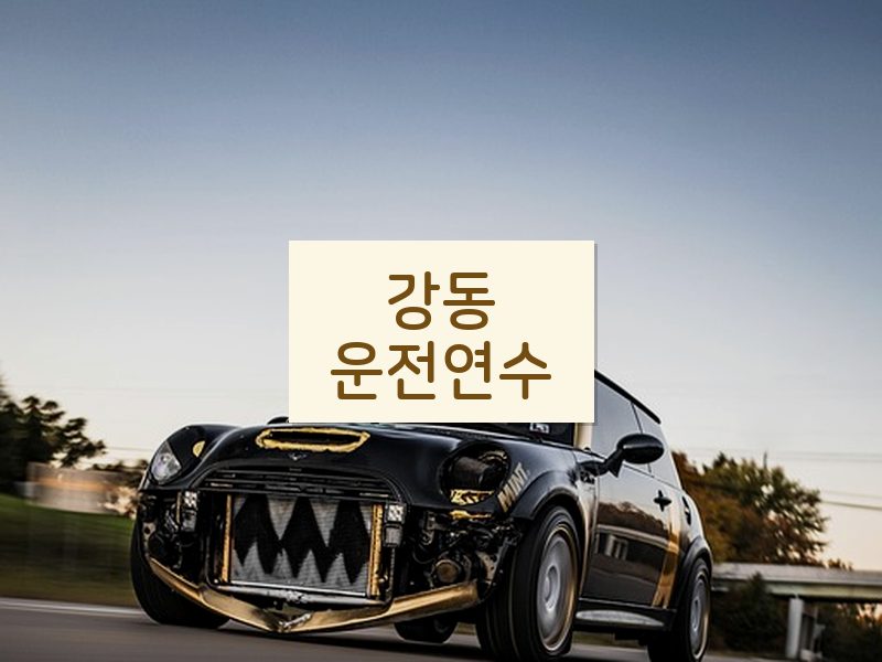 강동운전연수 후기