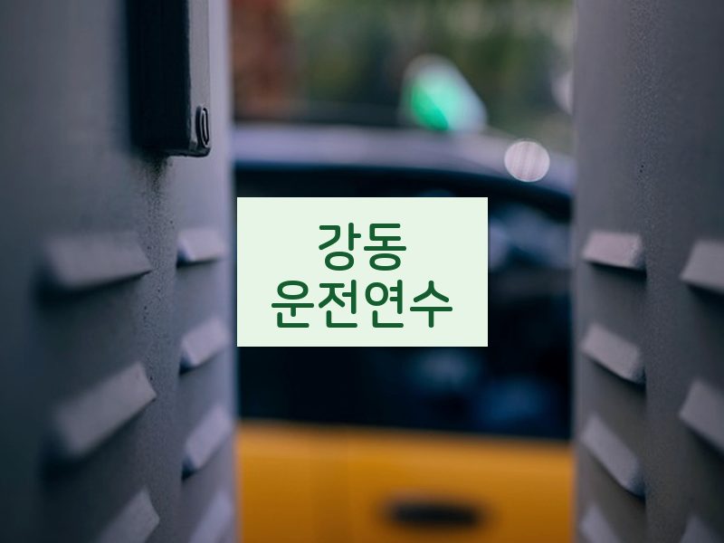 강동운전연수 후기