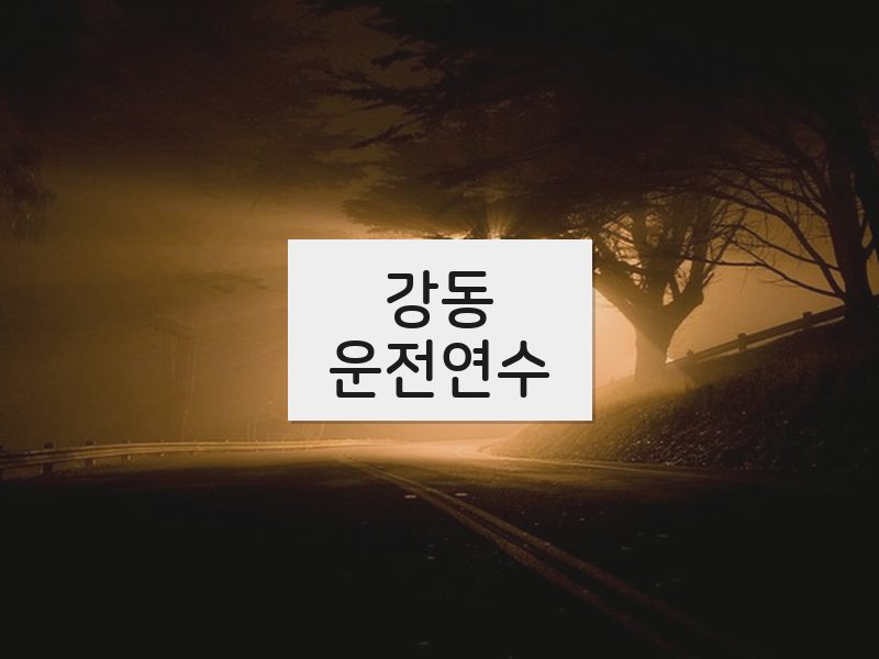 강동운전연수 후기