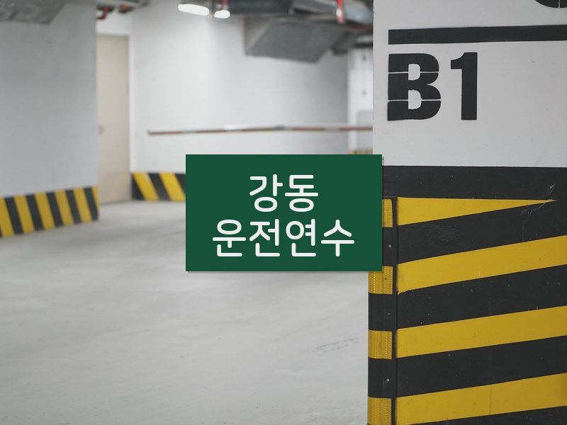 강동운전연수 후기