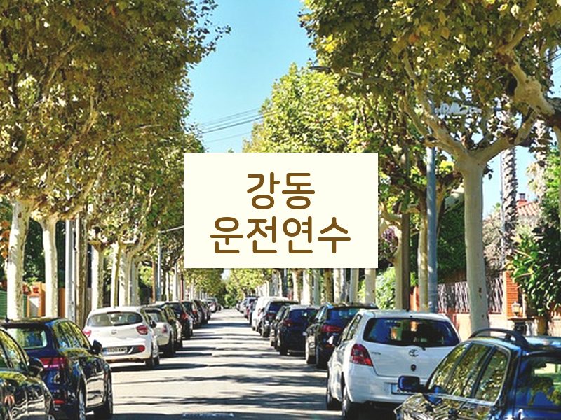 강동운전연수 후기