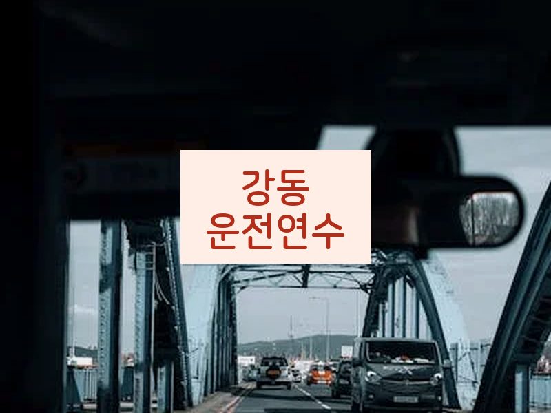 강동운전연수 후기