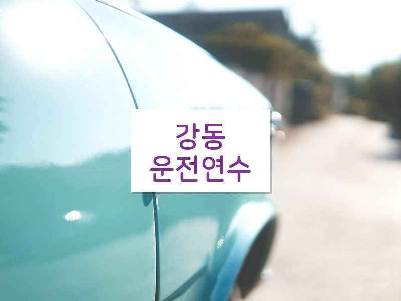 강동운전연수 후기