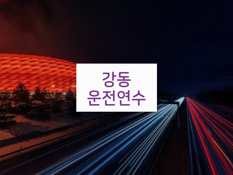 강동운전연수 후기