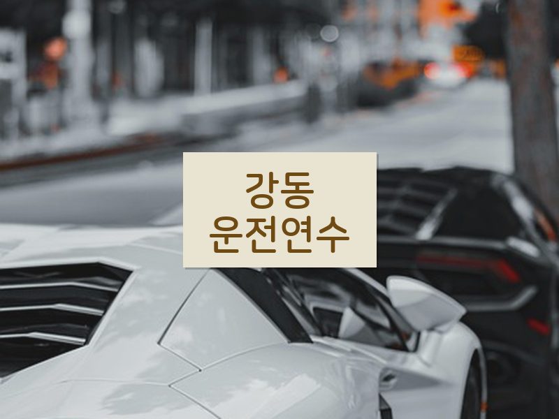 강동운전연수 후기