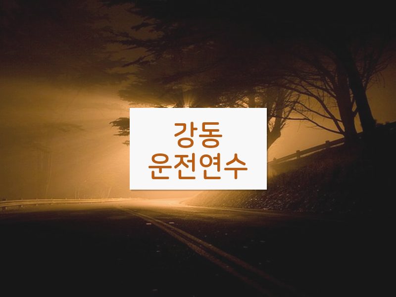 강동운전연수 후기