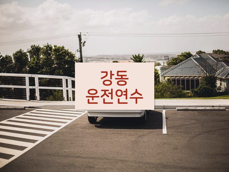 강동운전연수 후기