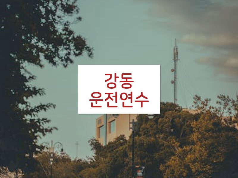 강동운전연수 후기