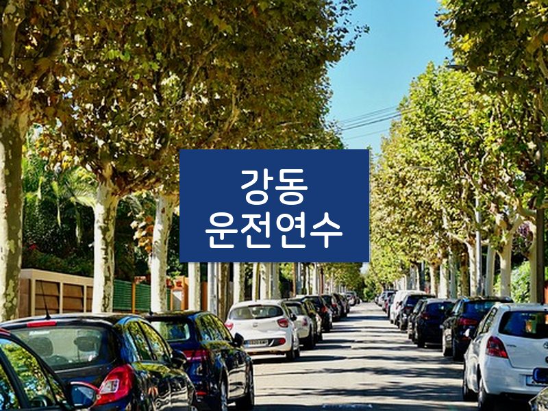 강동운전연수 후기