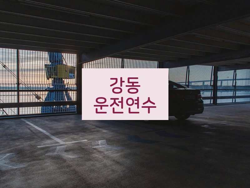 강동운전연수 후기