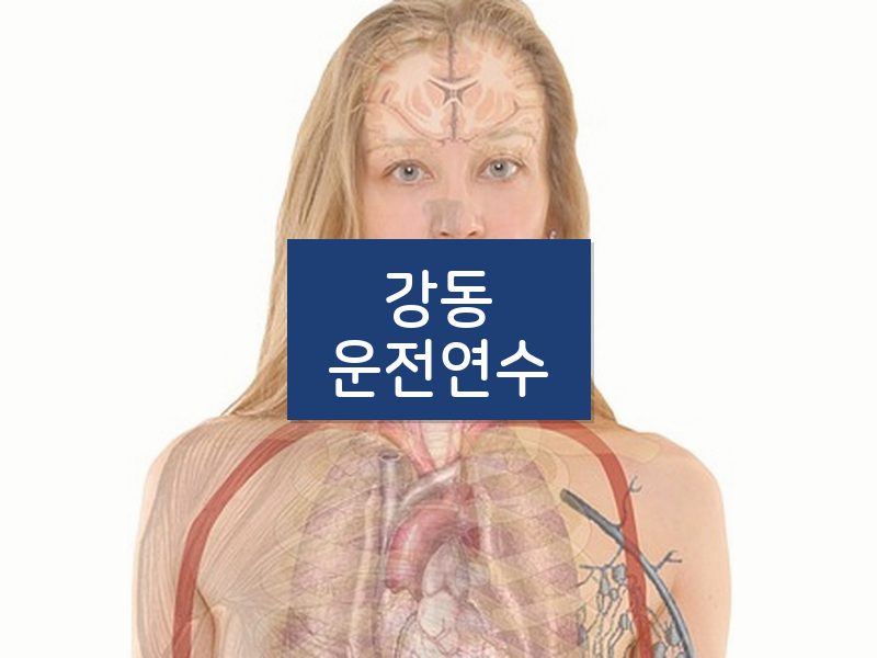 강동운전연수 후기