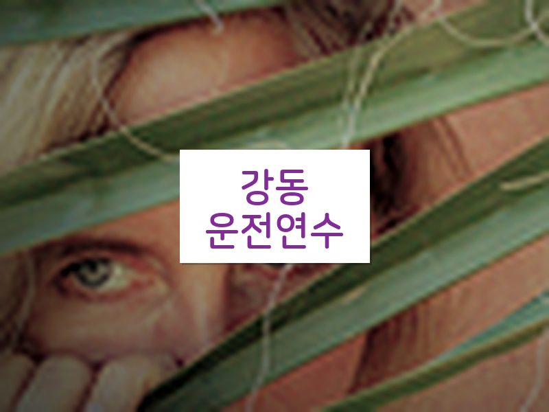 강동운전연수 후기