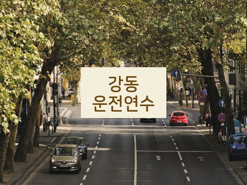 강동운전연수 후기