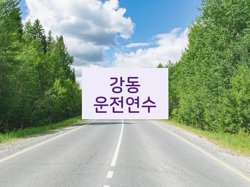 강동운전연수 후기