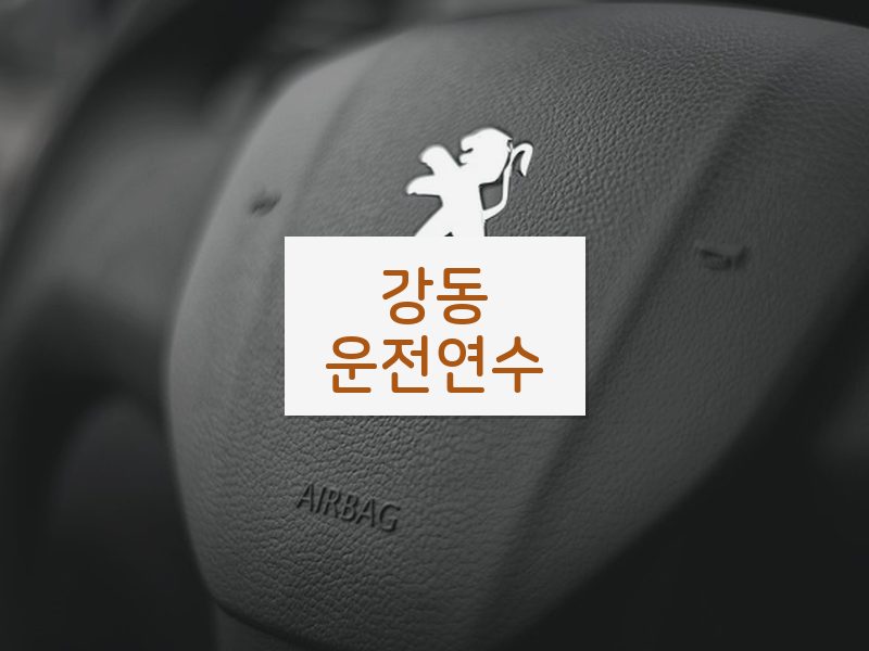 강동운전연수 후기