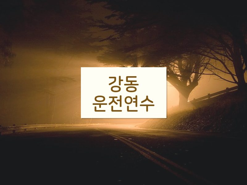 강동운전연수 후기