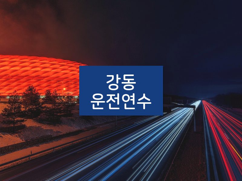 강동운전연수 후기