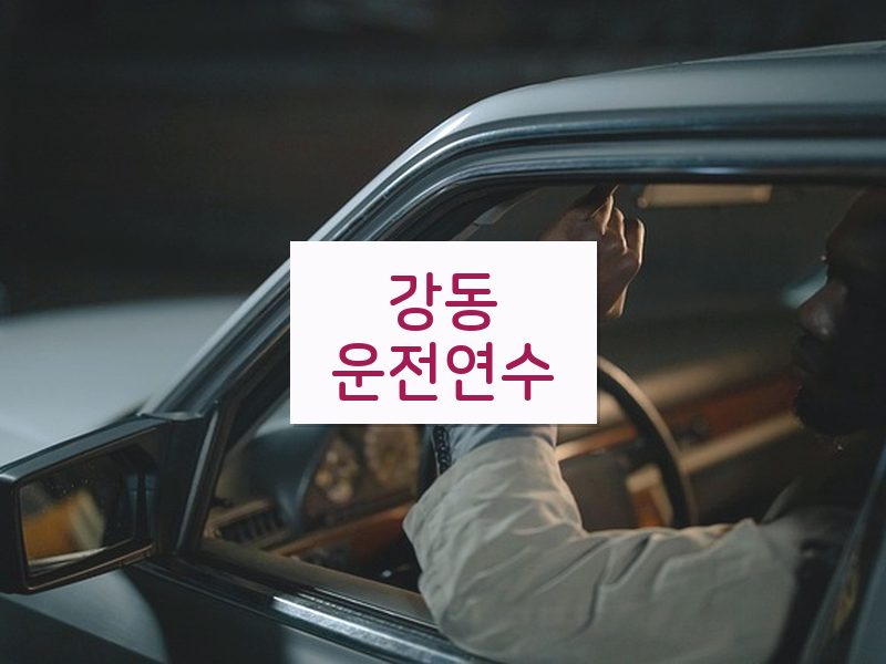 강동운전연수 후기