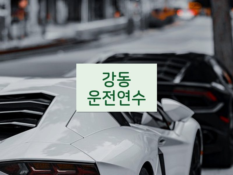 강동운전연수 후기