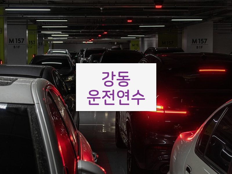 강동운전연수 후기