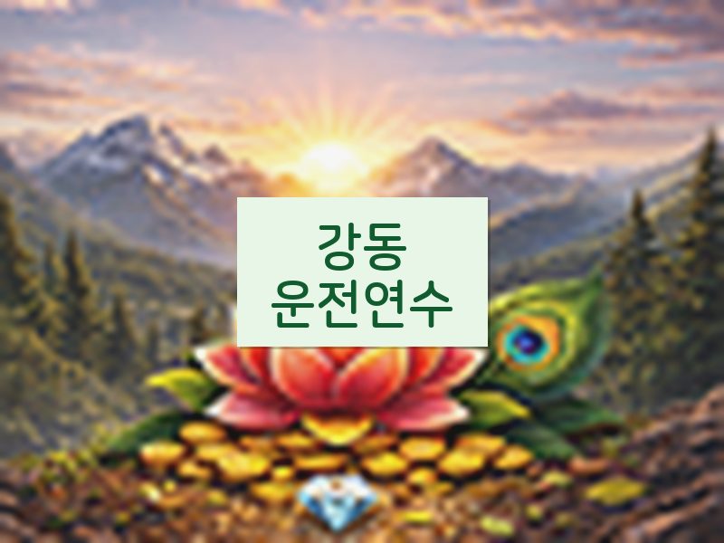 강동운전연수 후기