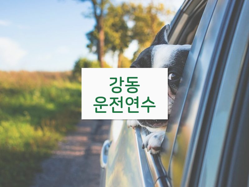 강동운전연수 후기