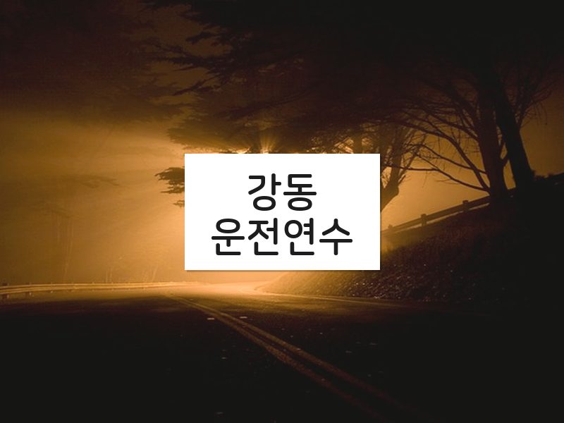 강동운전연수 후기